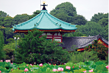 上野公園不忍池